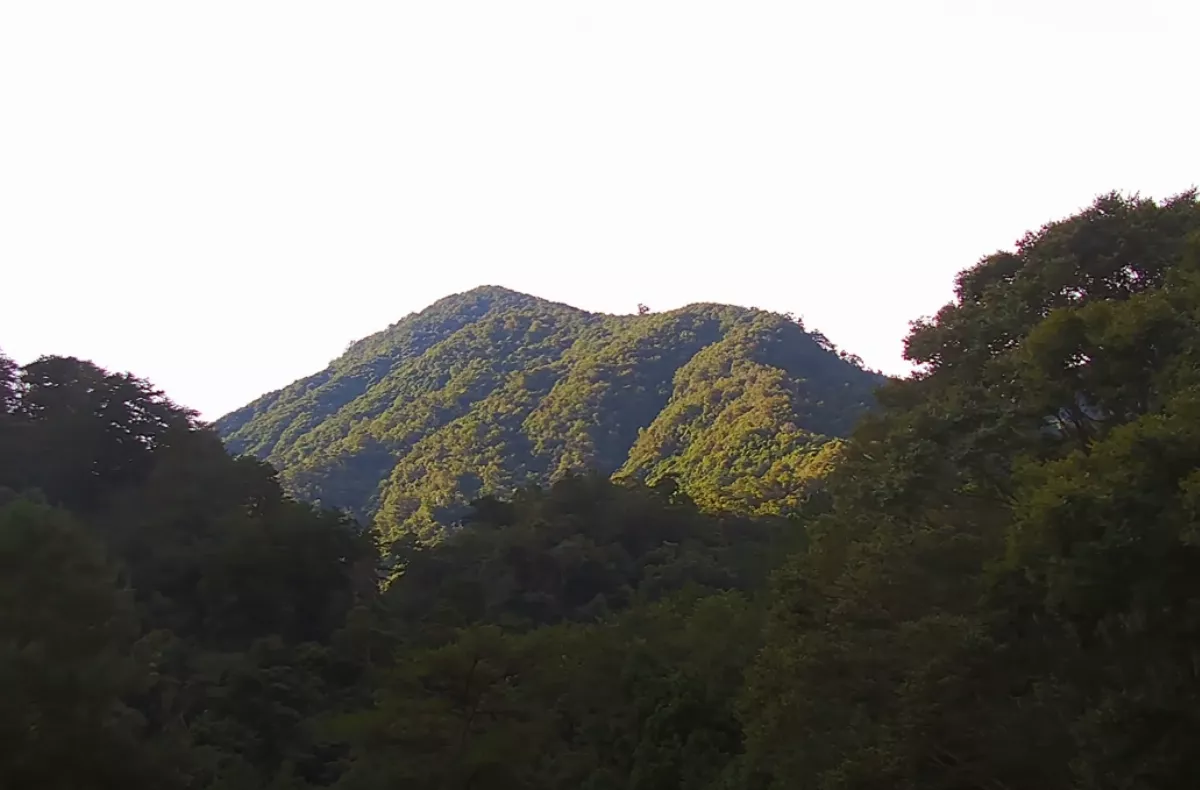 好想到戶外   國家森林遊樂區9個即時影像上線